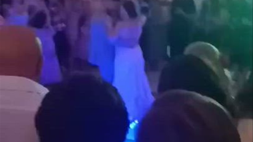 Wedding of the year / Mr.Viziny