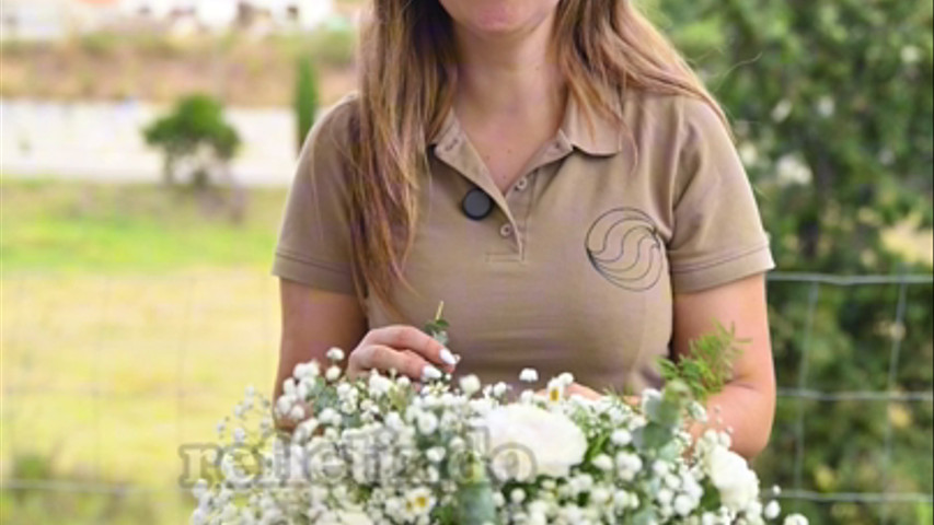 A importância de um Wedding Planner