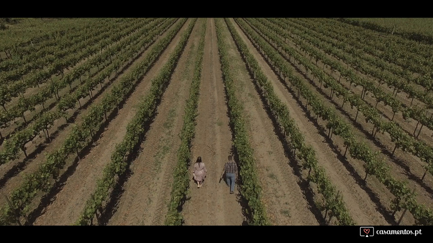 Até sermos velhinhos