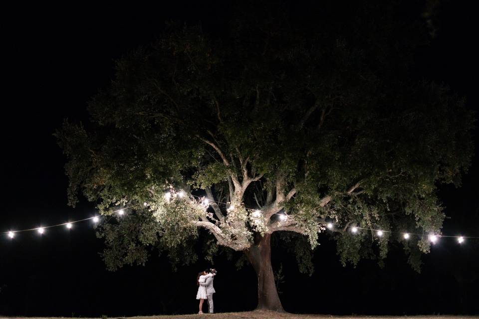 O casamento de Ana e João