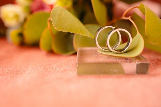 O casamento de Inês e João 2