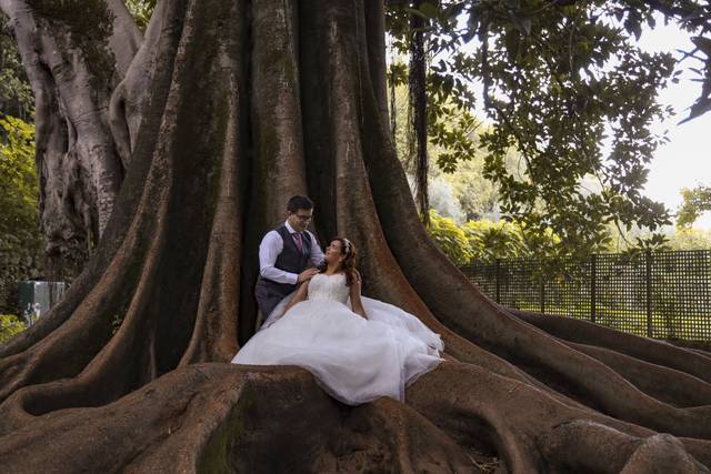 O casamento de Joana e João 3