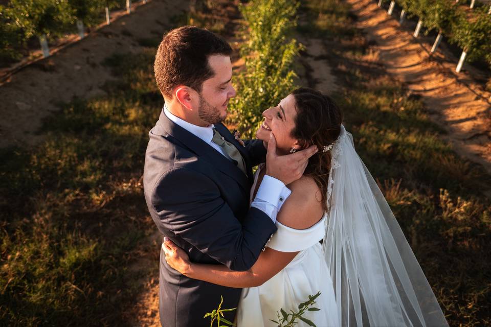 O casamento de Julio e Patricia