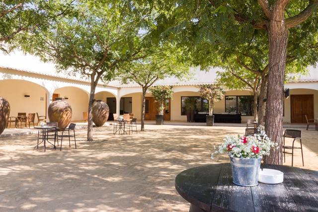 O casamento de Carla e João 3