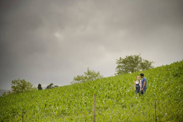 O casamento de Carolina e Pedro 1