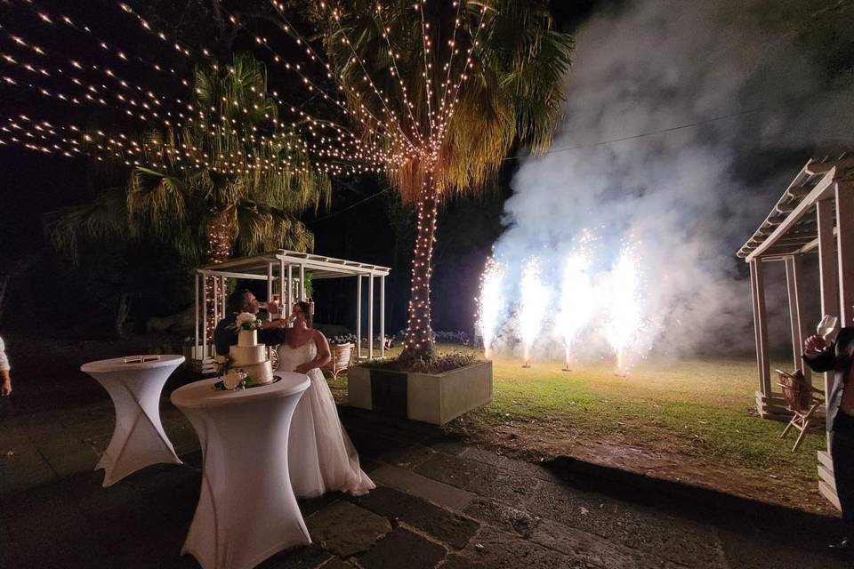 O casamento de Vera e Carlos