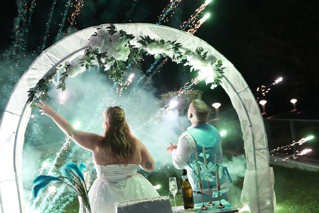 O casamento de Tânia e Pedro 1