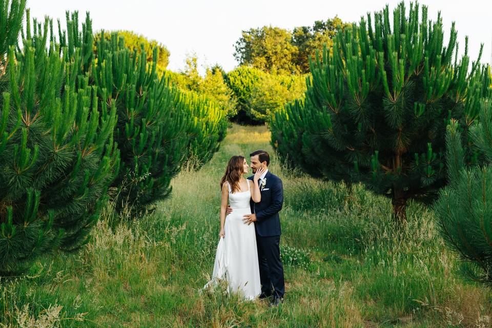O casamento de Vanessa e Bruno