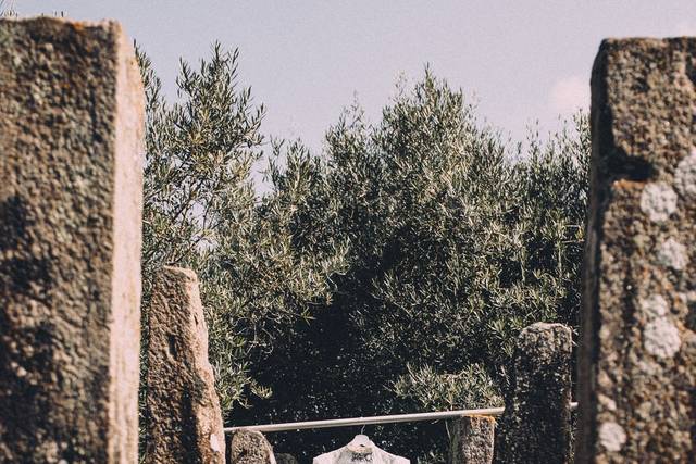 O casamento de Aliina e Leandro 3