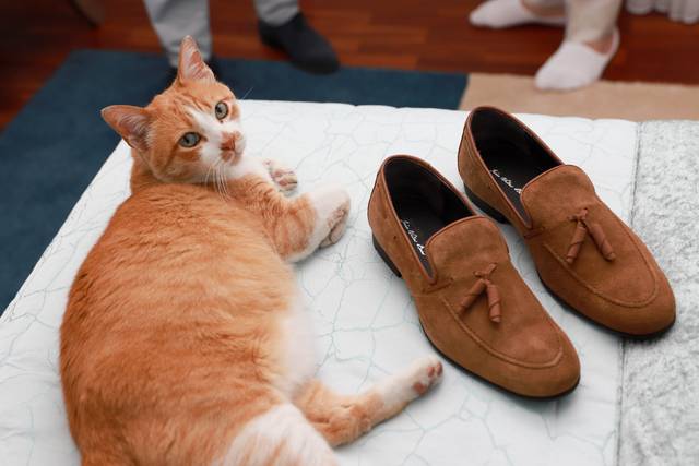 O casamento de Idalina e Pedro 3