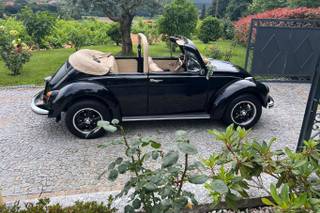 Classic Love Car - 5