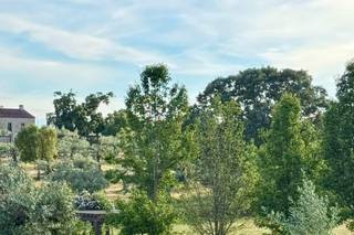 Herdade do Regato - 5