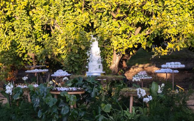 Quinta dos Perfumes - 4