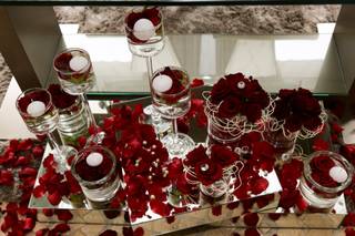 LR Produções Fotográficas - 32