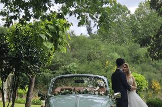 Let's Get Married - 16