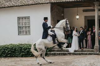 Quinta da Cerca - Viseu - 108