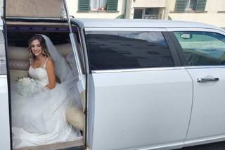 Vip Service Limousines - 7