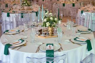 Tendências Naturais - 30