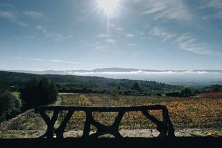 Quinta da Cerca - Viseu - 82