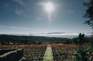 Quinta da Cerca - Viseu - 81