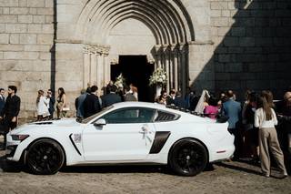 Mustang Moments - 6