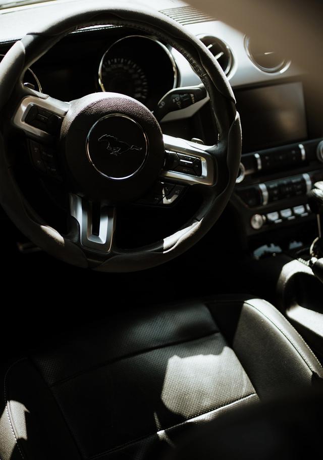 Mustang Moments - 2