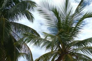 Elements Contemporary Jewellery | Lisboa - 1