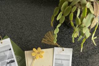Bloem Design - 22