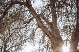 Stephanie Sales Photography - 48