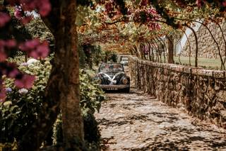 Quinta do Grillo - 36