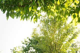 Quinta Rei do Leitão - 6