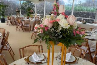Data Feliz - Decor e Eventos - 5
