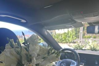 Aurélio & Jaime - 5