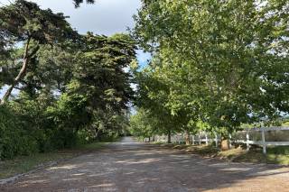 Quinta das Rosas - 7