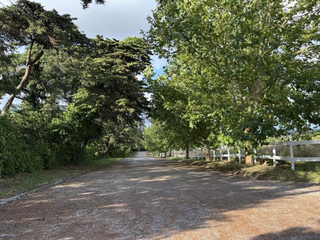 Quinta das Rosas - 4