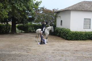 Quinta da Cerca - Viseu - 111
