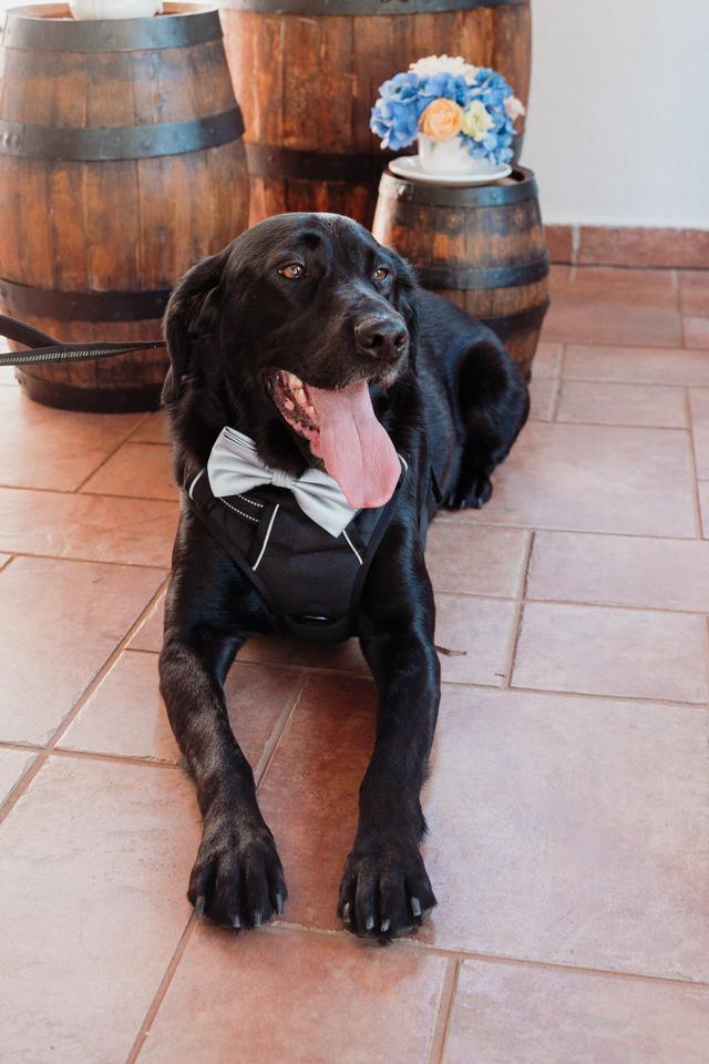 João Santos Fotografia - 2