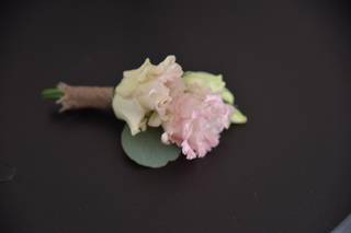 MV Flowers - 6