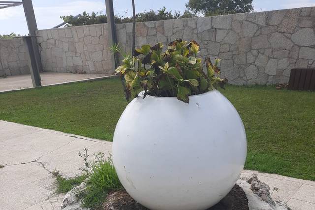 Aquario Eventos 2