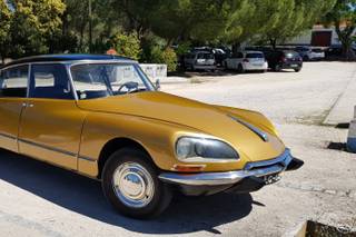 Príncipe Encantado - 1