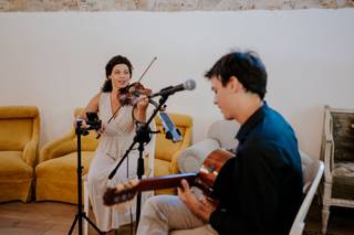 Viola Viola - 7