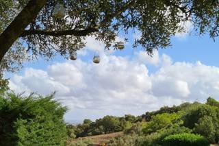 Herdade da Emberiza - 35