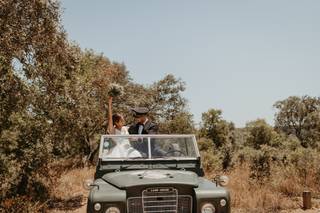 Rei das Tradições - 7