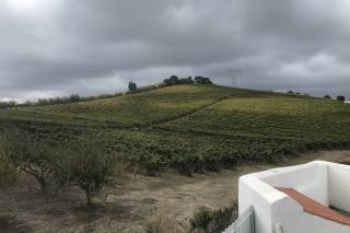 Quinta do Boiro - 7