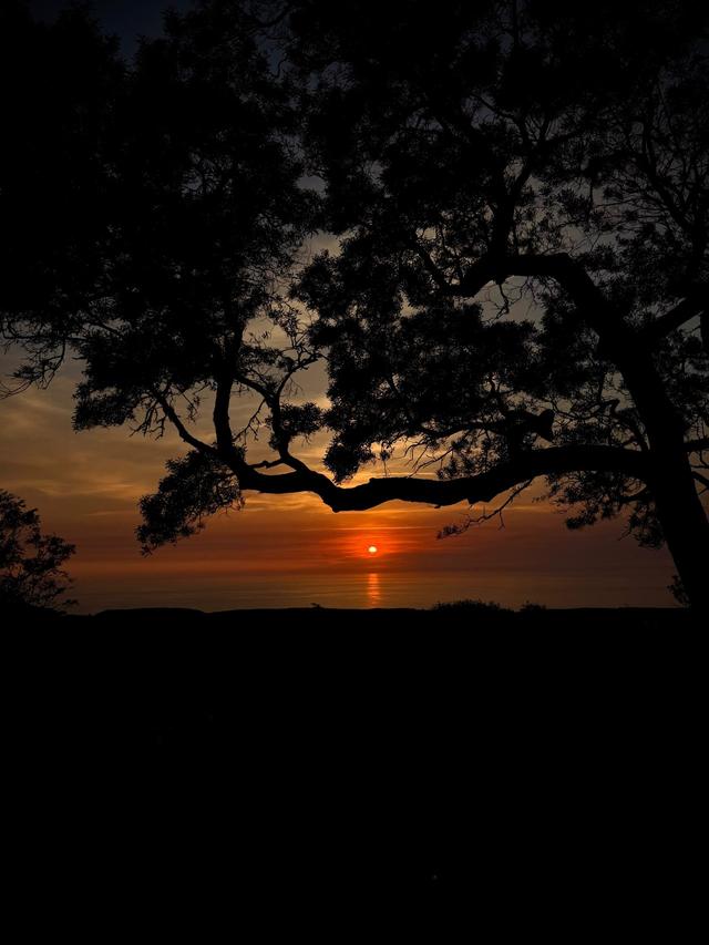 Quinta do Pé da Serra - 2