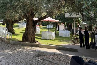 Quinta da Boavista - 9