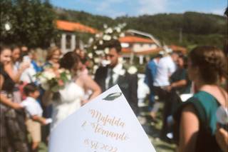 Tendências Naturais - 43