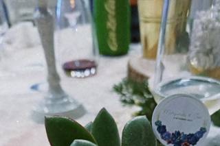 Suculentas Jogui - 5