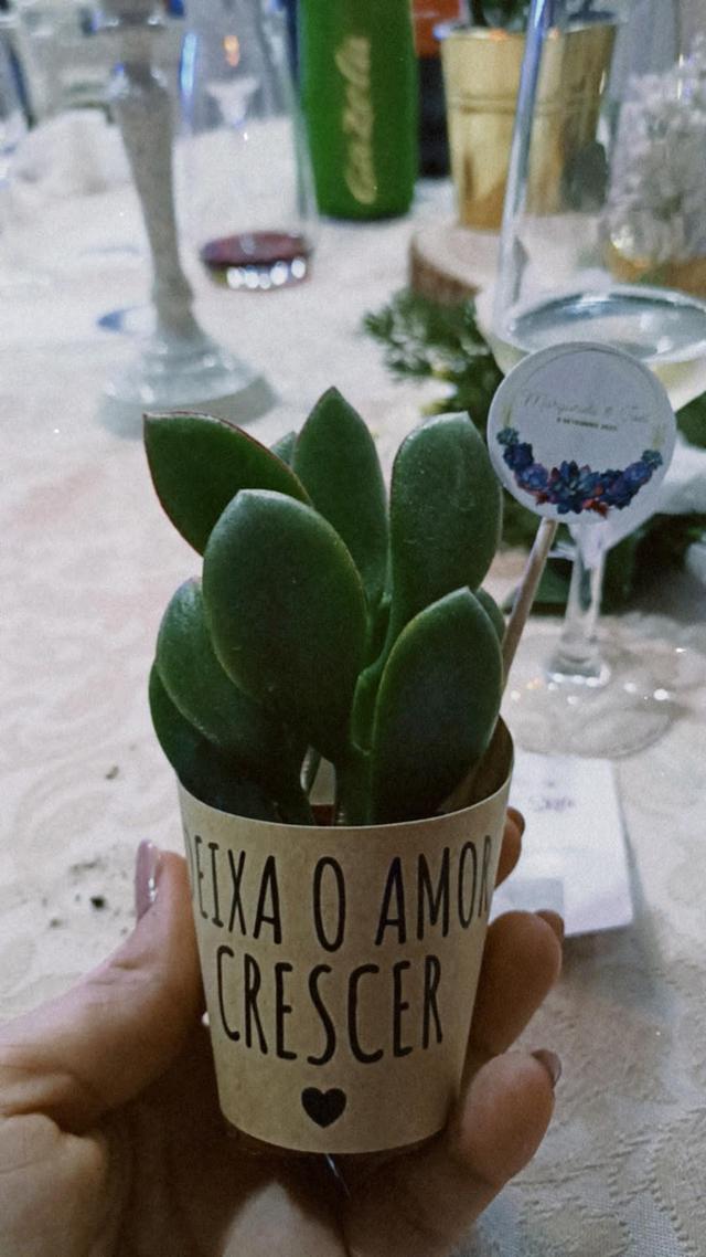 Suculentas Jogui - 1