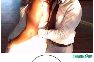 Organizasom 1